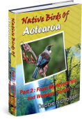 3D Cover NZ Native Birds Bk1