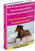 3D cover for Horse Insurance book