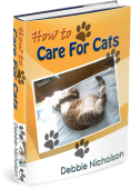 3D cover for How to care for cats