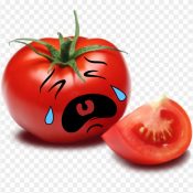 tomato-clipart-cute-8